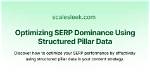 Discover Your Serp Dominance: Check Your Competition Now!