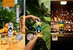 Discoveries for the Modern Beer Enthusiast