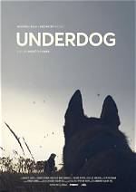 Discoveries from "Bang the Underdog 2022" for the "Andi13" Niche