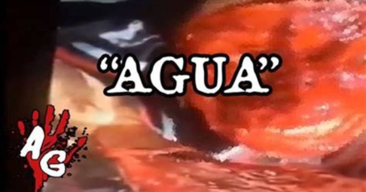 Discovering Quieo Agua: the Essence of Water in Our Lives