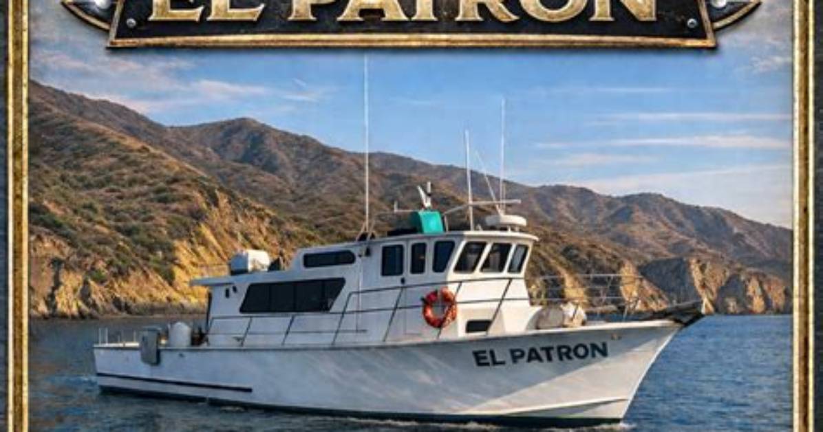 Discovering the Allure of El Patron Videos Original