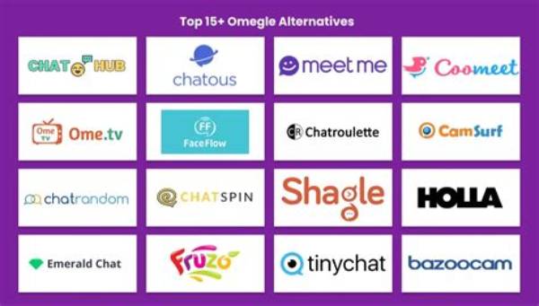 Discovering the Best Omegle Alternatives for Online Connections