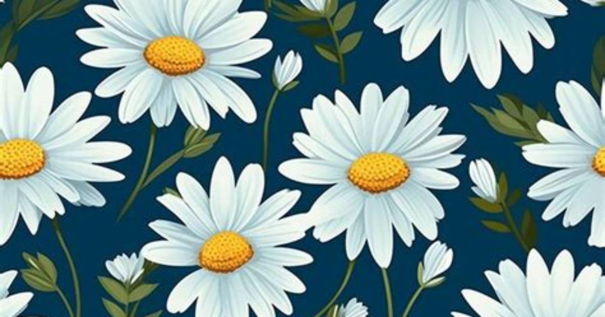 Discovering the Charm of the Daisy Blooms Girl Name