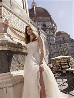 Discovering the Essence of Italia Ricca