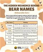 Discovering the Meaning Behind the Name "Teddy Swims"