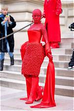 Doja Cat Attends 2023 Paris Fashion Week in 30,000 Swarovski Crystals