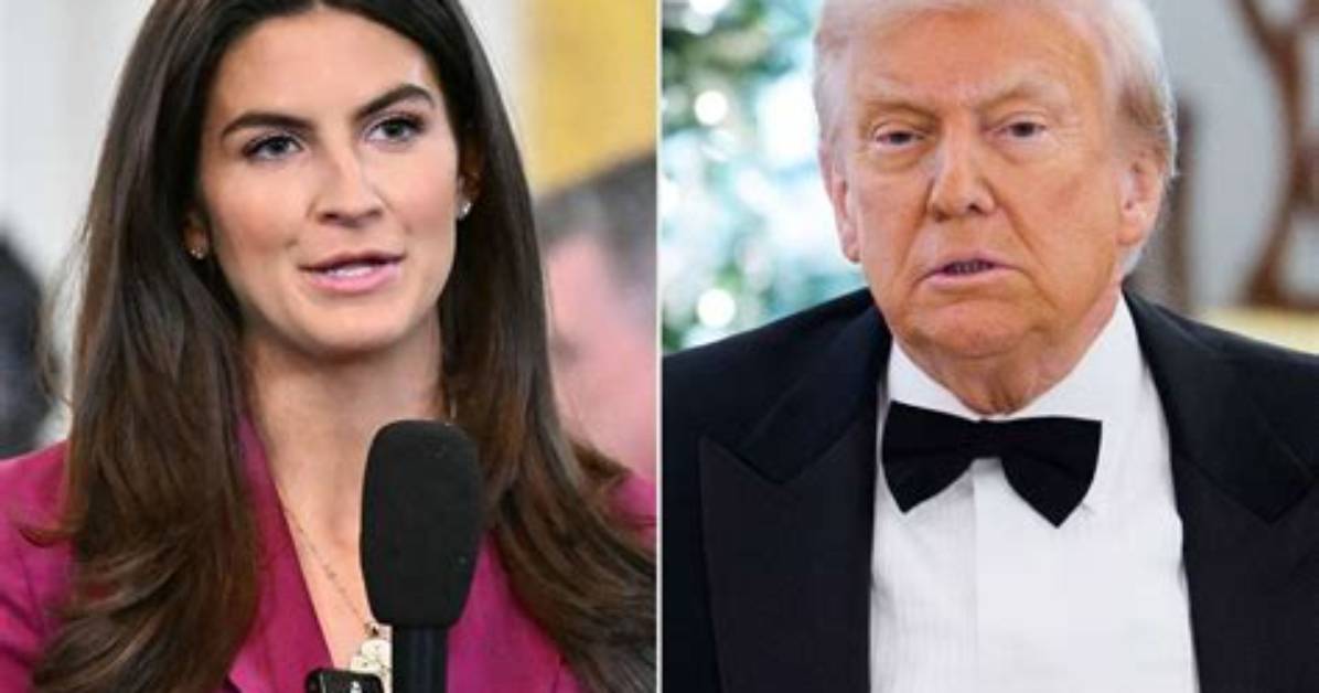 Donald Trump vs Kaitlan Collins: Who Won at the Cnn Town Hall?