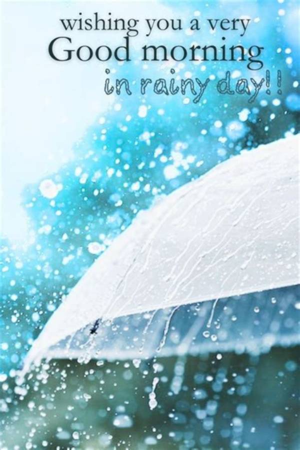Embracing the Essence of Rain: Good Morning Message Rain