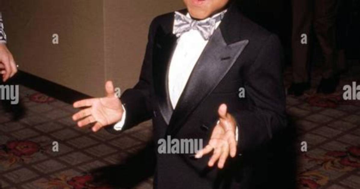Emmanuel Lewis: the Diminutive Star and His Enduring Legacy