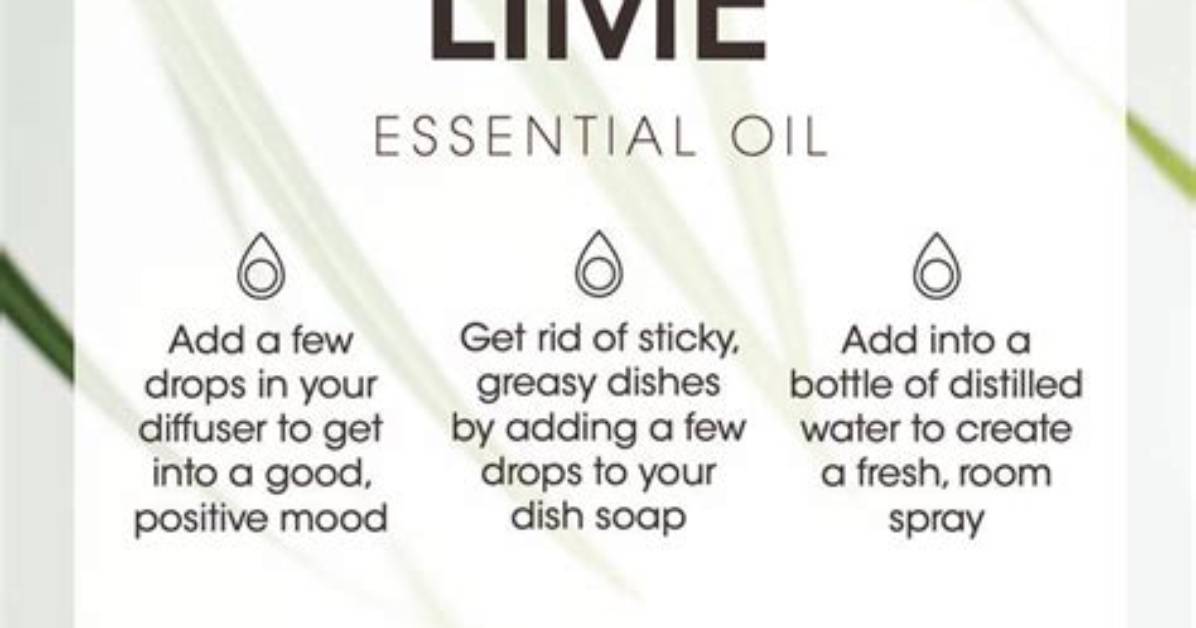 Essential Guide to Lime Yamal: Discover Its Benefits and Uses