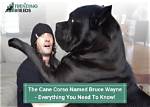 Everything You Need to Know About Wayne Barnes' Wife