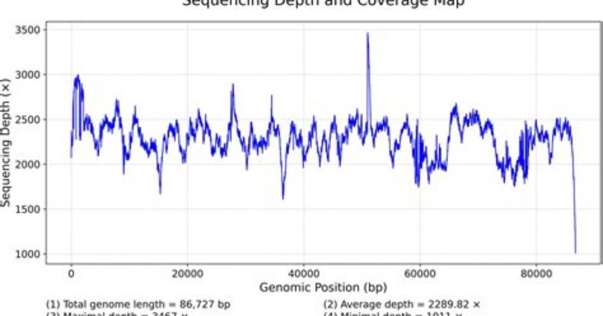 Exclusive Gcams Coverage: in-Depth Insights and Analysis