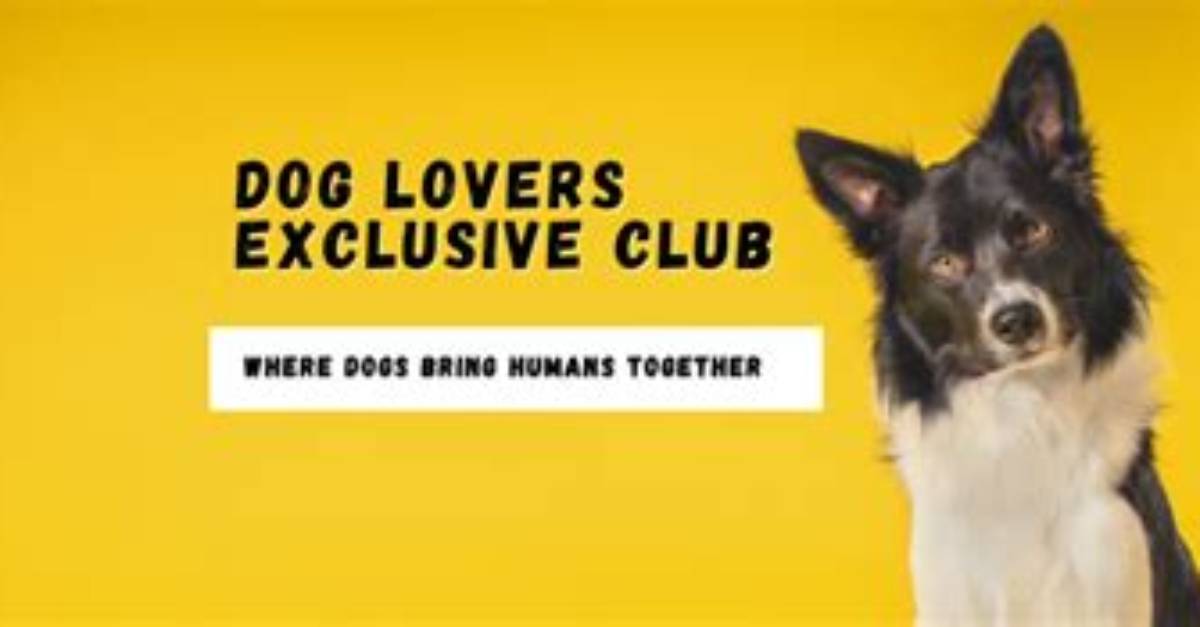 Exclusive Insights for Dog Lovers