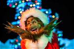 Experience the Magic of a Grinch Video Call