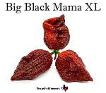 Exploring the Allure of Big Black Mama Boobs