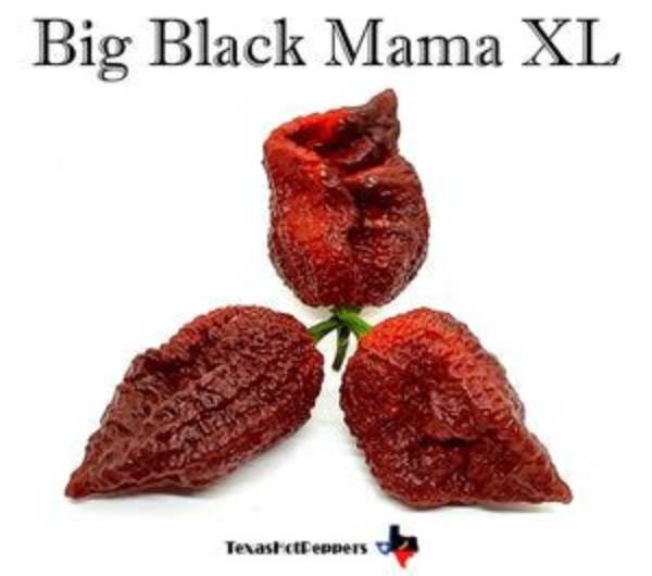 Exploring the Allure of Big Black Mama Boobs