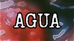 Exploring the Allure of Queiro Agua Gore