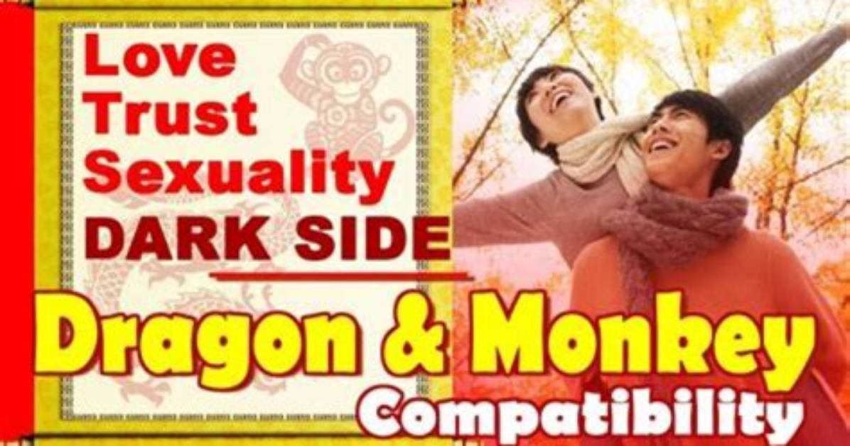 Exploring the Depths of Dragon Monkey Compatibility