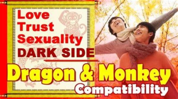 Exploring the Depths of Dragon Monkey Compatibility