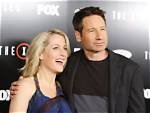 Exploring the Duchovny Anderson Relationship