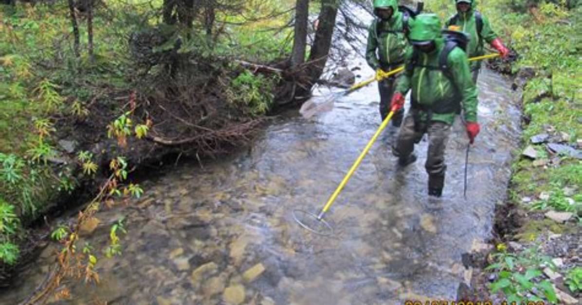 Exploring the Habitat of the Sturniolos: Where Do They Live?