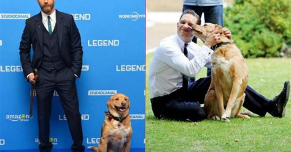 Exploring the Heartwarming World of Tom Hardy's Children