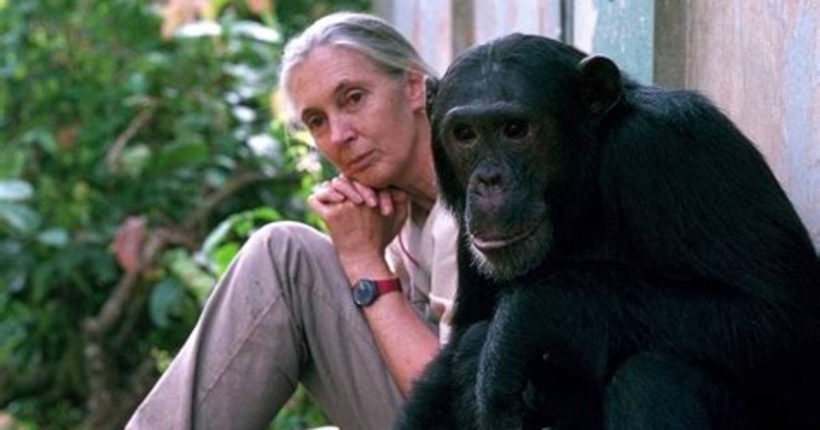 Exploring the Life and Contributions of Dr. Susan Hull