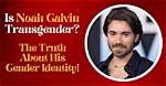 Exploring the Question: Is Noah Galvin Trans?