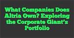 Exploring the Vast Portfolio: What Companies Do Blackrock Own?
