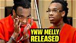 Exploring Ynw Melly's Jail Time: the Aftermath of a Controversial Life
