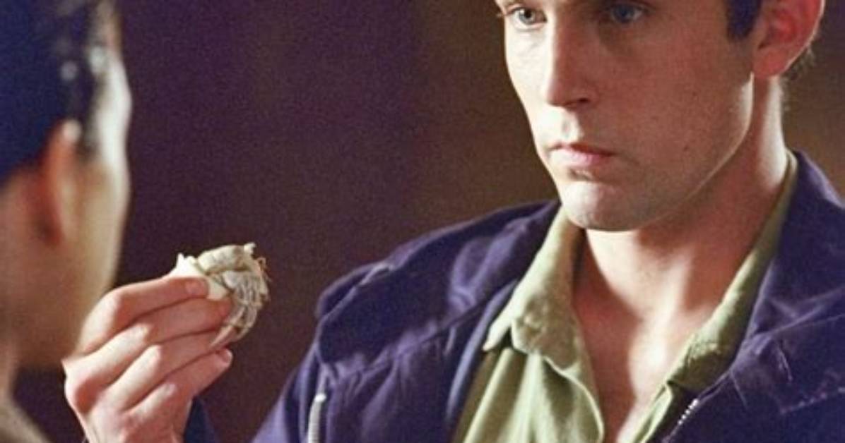 Films and Tv Shows Starring Desmond Harrington