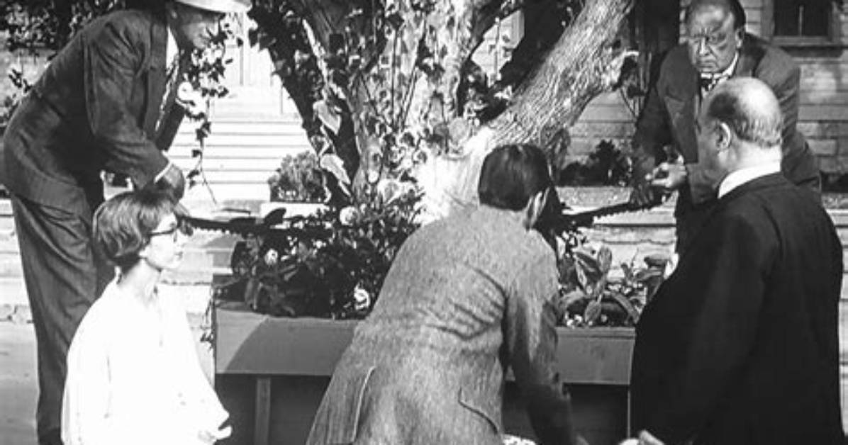 From Mayberry to Hollywood And