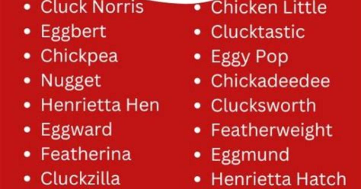 Funny and Unusual Names: a Hilarious Compilation