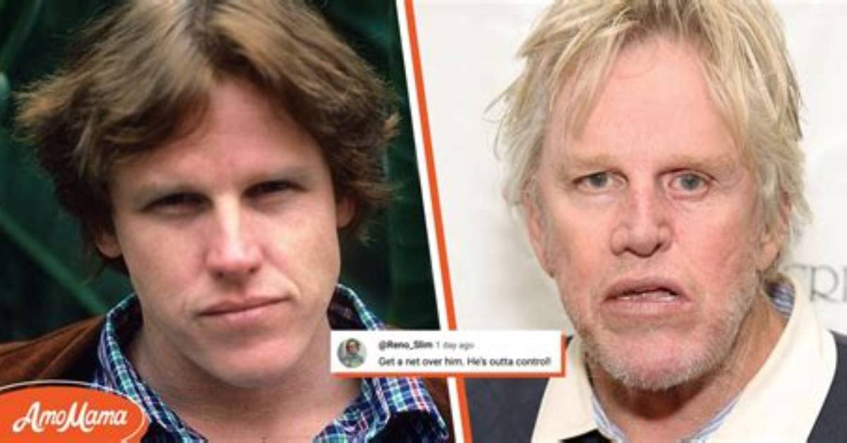 Gary Busey's Accident: a Timeline of Events