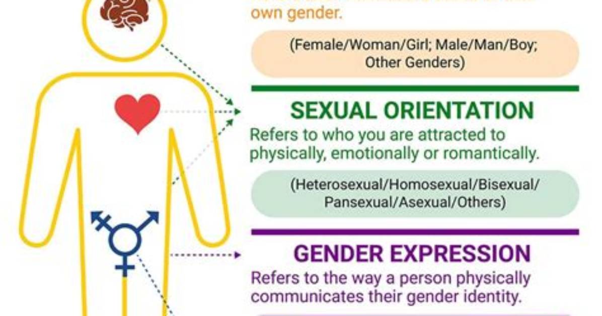 Gender Identity, Expression, and Impact