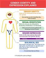 Gender Identity, Expression, and Impact