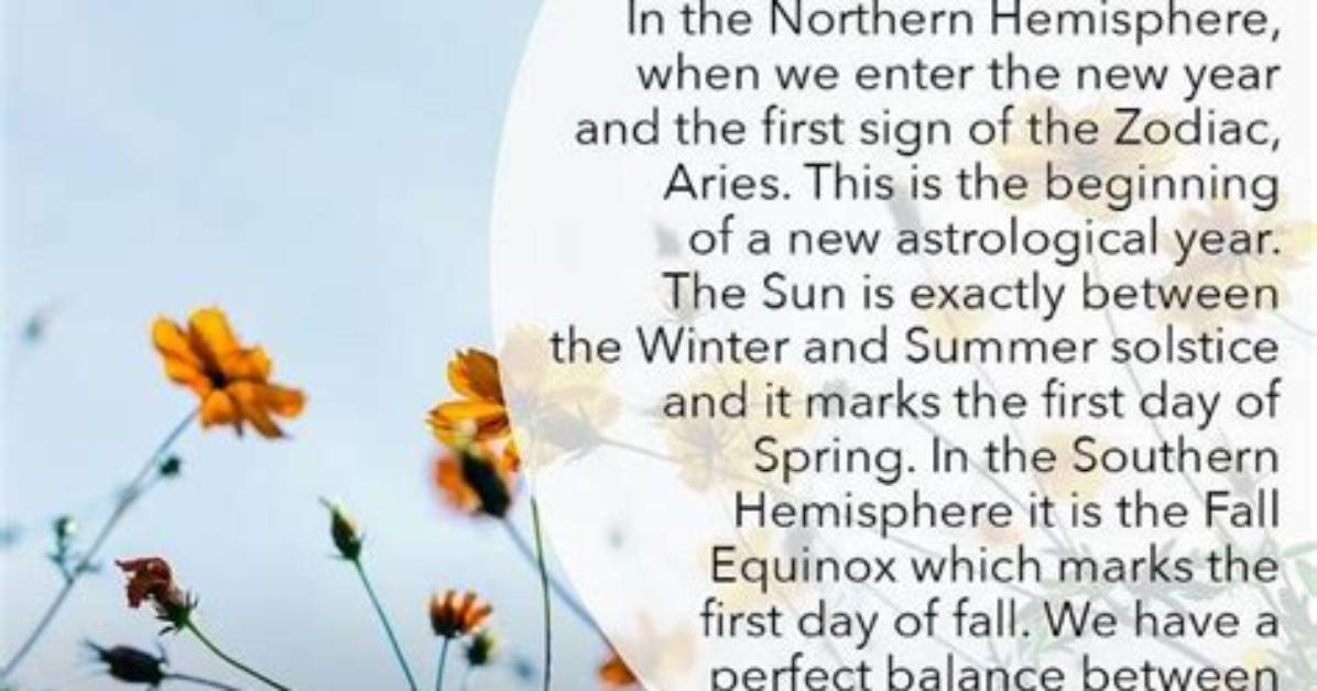 “Give Me a Break”: Equinox New Year’s Day Controversy Explained as Gym Under Fire for Banning New Members on January