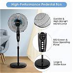Height, Impact, and Fan Allure