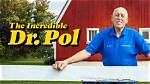 How Old Is Dr. Pole? Find out the Age of Dr. Pole