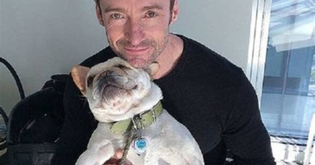 Hugh Jackman Pays Tribute to His Beloved Dog Who Sadly Passed Away