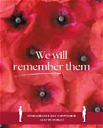 In Remembrance: Amy Dull's Enduring Legacy