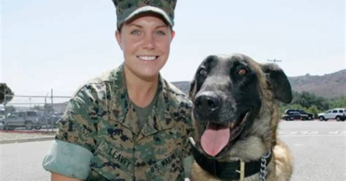 Is Megan Leavey Married to Matt Morales? Unraveling the Truth