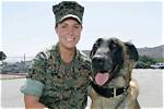 Is Megan Leavey Married to Matt Morales? Unraveling the Truth