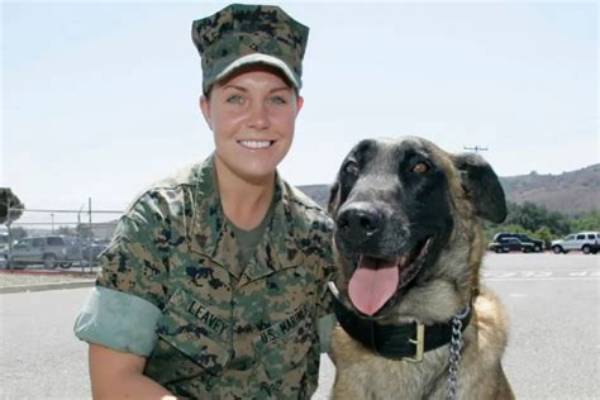 Is Megan Leavey Married to Matt Morales? Unraveling the Truth