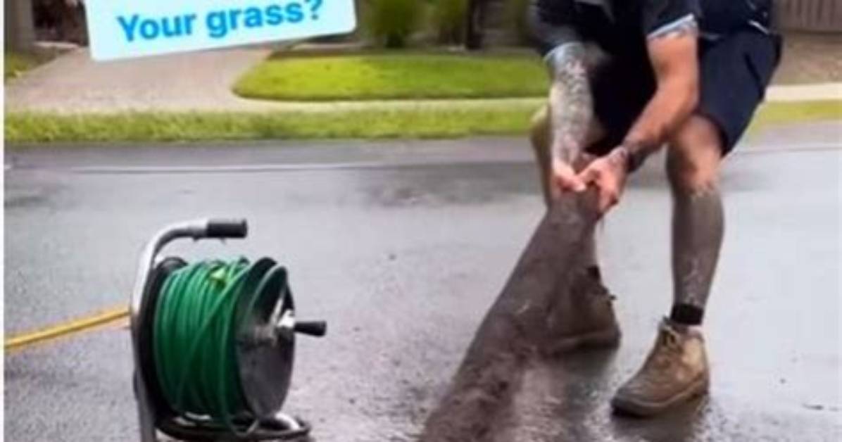Is the Giant Lawn Worm Real or Fake? Viral Tiktok Debunked