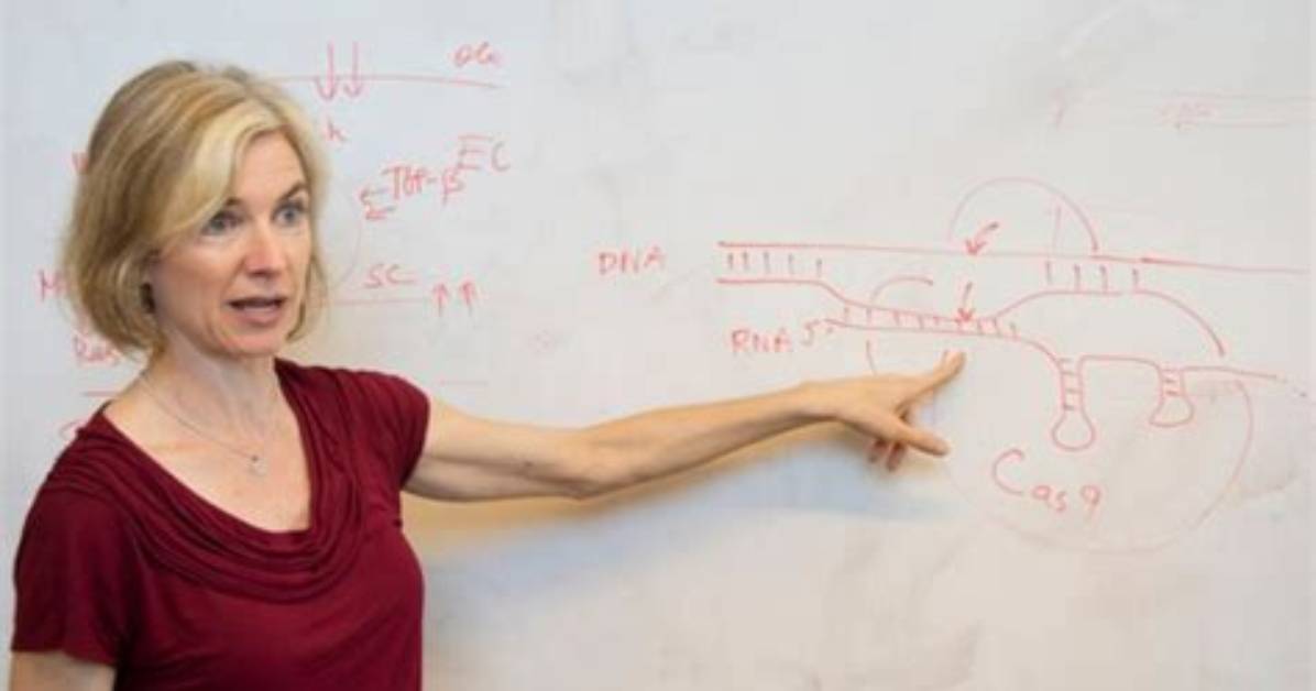 Jennifer Doudna Height, Weight, Net Worth, Age, Birthday, Wikipedia, Who, Instagram, Biography