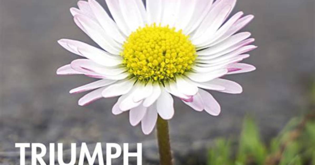 Journey to Healing: Triumph over Abuse