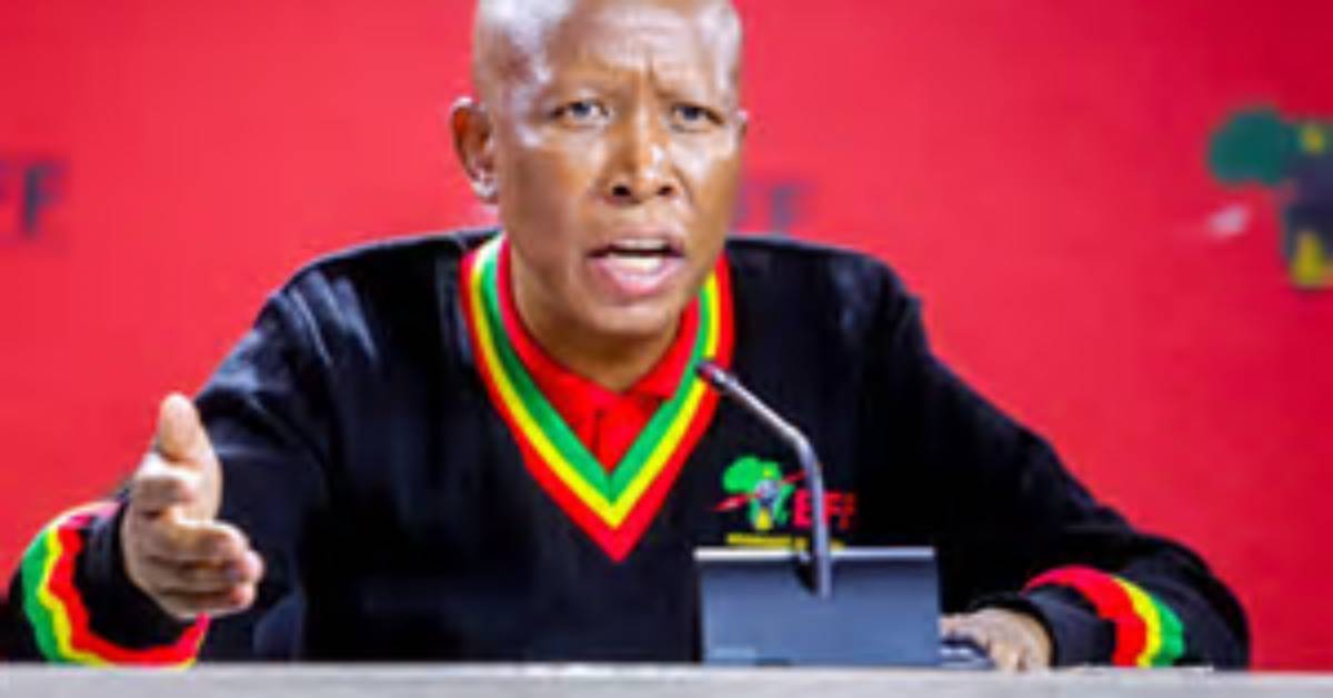 Julius Malema: Controversial Polygamist and Former Anc Youth Leader