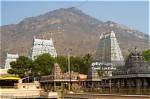 K. Annamalai: the Journey from His Place of Birth to Prominence