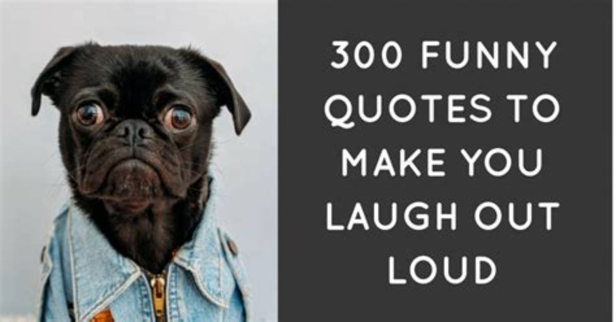 Laugh out Loud: the Best Very Funny Usernames for Every Occasion